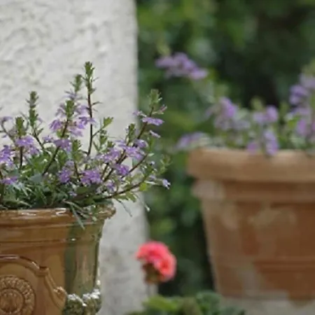 La Maison De Constance - Charmante Maison Provencale 3 Holiday home *
